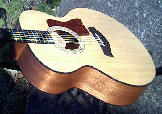 image title is /guitars/Taylor 355 front view 2
