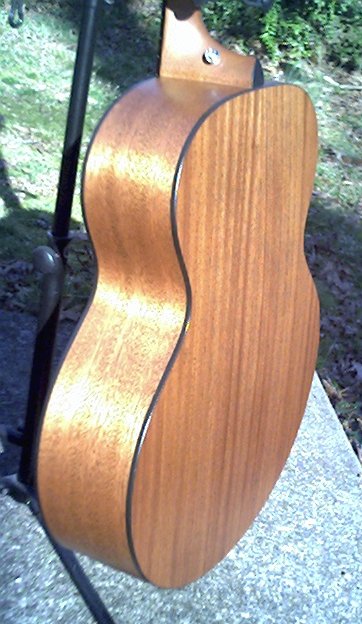 image title is /guitars/Taylor 355 back view